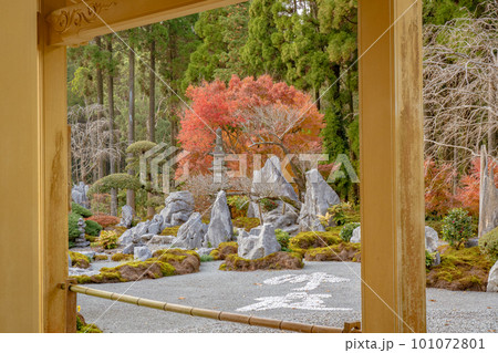不動山　青隆寺の紅葉の風景 101072801