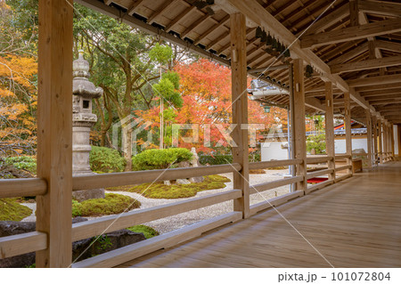 不動山 青隆寺の紅葉の風景 不動山 青隆寺の紅葉の風景 101072804