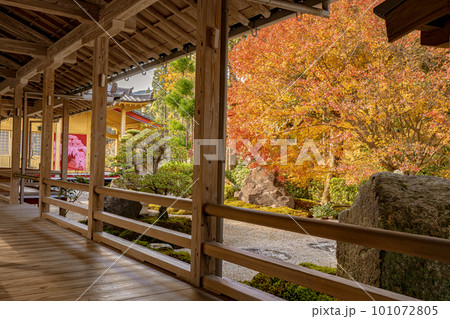 不動山 青隆寺の紅葉の風景 不動山 青隆寺の紅葉の風景 101072805