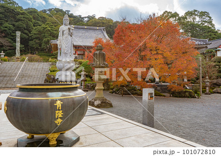 不動山　青隆寺の紅葉の風景 101072810