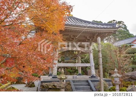 不動山　青隆寺の紅葉の風景 101072811