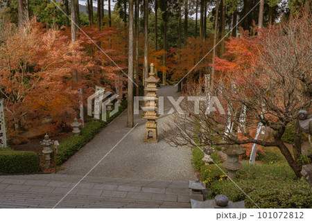不動山　青隆寺の紅葉の風景 101072812