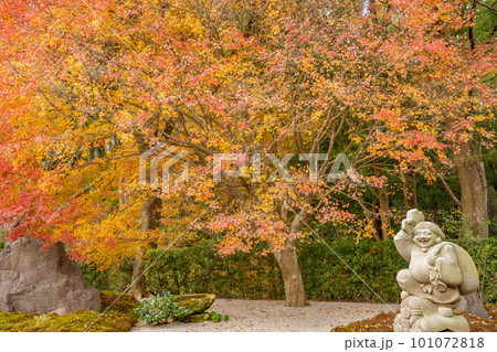 不動山　青隆寺の紅葉の風景 101072818