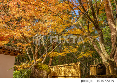 不動山 青隆寺の紅葉の風景 不動山 青隆寺の紅葉の風景 101072819