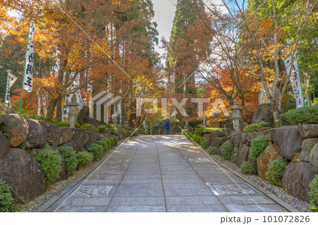 不動山　青隆寺の紅葉の風景 101072826