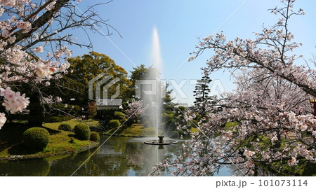 小城公園の桜が満開 小城公園の桜が満開 101073114