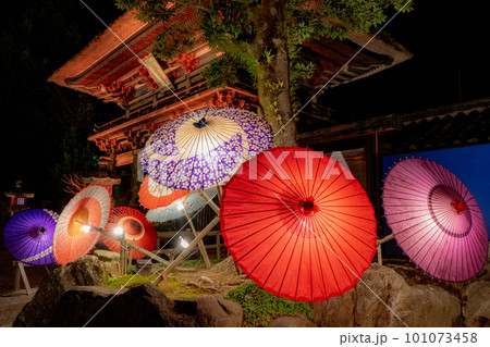 青井阿蘇神社の夜景風景 青井阿蘇神社の夜景風景 101073458