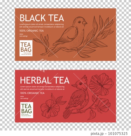 BLACK AND HERBAL TEA In Vintage Style Contemporary Design Of Packaging With Birds On Branch And Blossom Flowers Printable Vector For Modern Typography 101075325