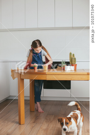 Ten year old girl growing plants at home. With her puppy. Ten year old girl growing plants at home. With her puppy. 101075340
