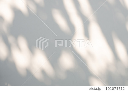 Abstract natural tree leaves shadow on white wall background Abstract natural tree leaves shadow on white wall background 101075712