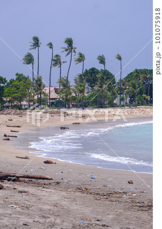 バリ島クタビーチ 砂浜に打ち寄せる波とヤシの木（Kuta Beach Bali）2023年撮影 101075918