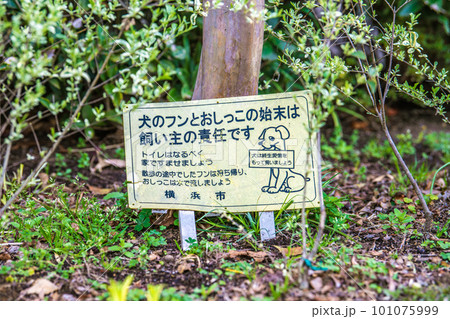 横浜 人気 ペットの糞