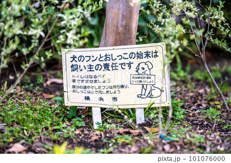 日本の横浜都市景観　ペットの散歩マナー…。「犬のフンとおしっこの始末は飼い主の責任です」＝横浜市内 101076000