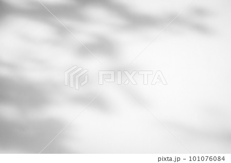 Abstract natural tree leaves shadow on white wall background Abstract natural tree leaves shadow on white wall background 101076084