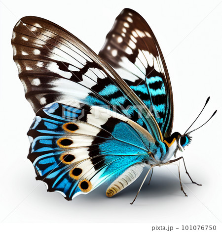 Blue butterfly isolated on white background. Generative AI 101076750