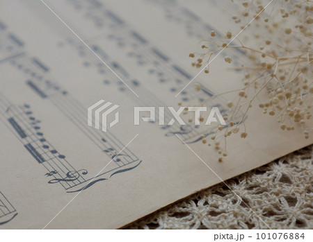 コットンレースの上のアンティークな楽譜とカスミ草 コットンレースの上のアンティークな楽譜とカスミ草 101076884