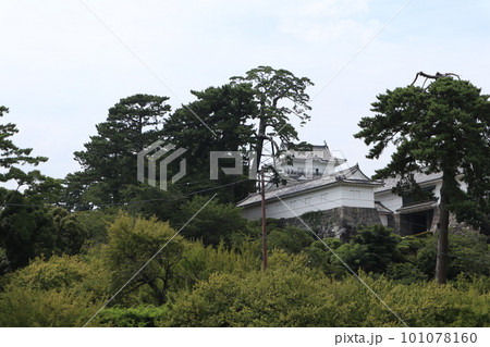 小田原城 101078160