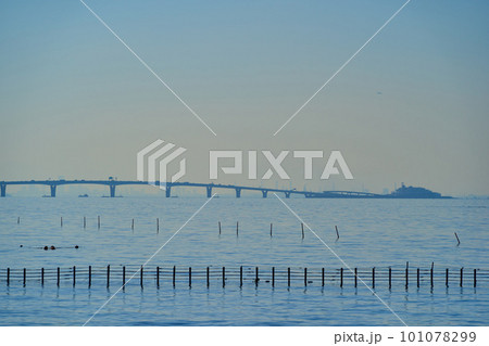 千葉県袖ケ浦市 袖ケ浦海浜公園から西側の東京湾とアクアラインを見る 101078299