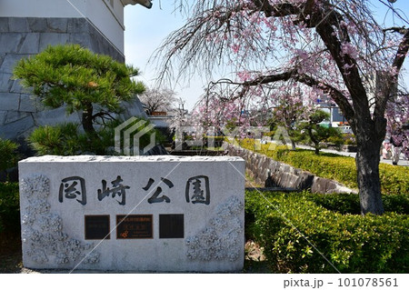 岡崎城　大手門　徳川家康誕生の地　お花見スポット 101078561
