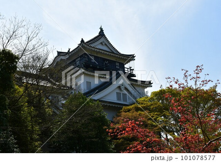岡崎城天守　徳川家康誕生の地　お花見スポット 101078577