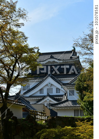 岡崎城天守　徳川家康誕生の地　お花見スポット 101078581