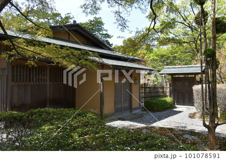 岡崎城 徳川家康誕生の地 お花見スポット 岡崎城 徳川家康誕生の地 お花見スポット 101078591