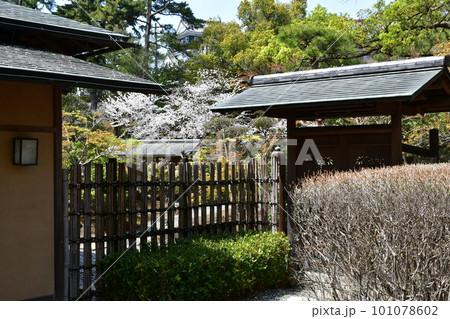 岡崎城　徳川家康誕生の地　お花見スポット 101078602