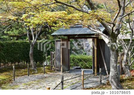 岡崎城　徳川家康誕生の地　お花見スポット 101078605