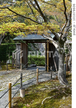 岡崎城 徳川家康誕生の地 お花見スポット 岡崎城 徳川家康誕生の地 お花見スポット 101078606