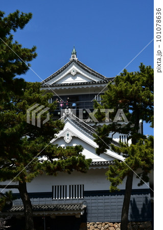 岡崎城天守 徳川家康誕生の地 お花見スポット 岡崎城天守 徳川家康誕生の地 お花見スポット 101078636
