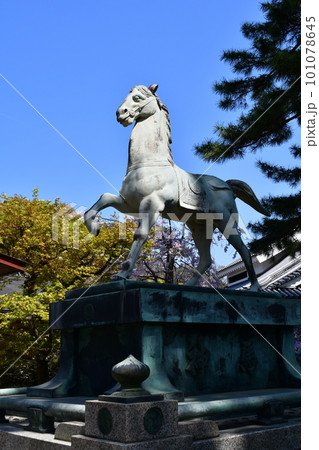 岡崎城　神馬像　徳川家康誕生の地　お花見スポット 101078645