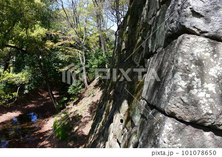 岡崎城 徳川家康誕生の地 お花見スポット 岡崎城 徳川家康誕生の地 お花見スポット 101078650