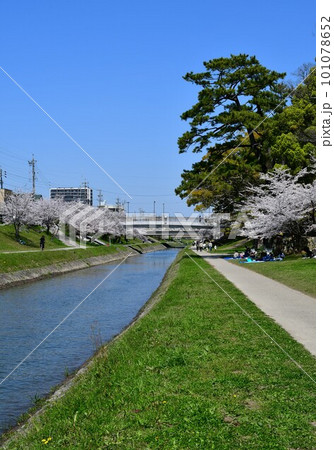 岡崎城 徳川家康誕生の地 お花見スポット 岡崎城 徳川家康誕生の地 お花見スポット 101078652