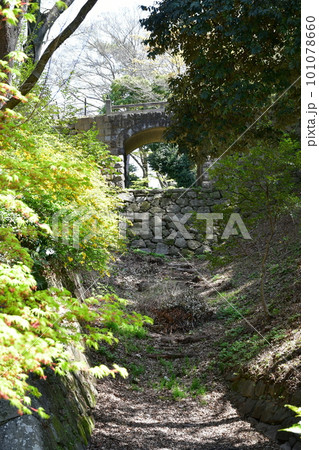 岡崎城 徳川家康誕生の地 お花見スポット 岡崎城 徳川家康誕生の地 お花見スポット 101078660