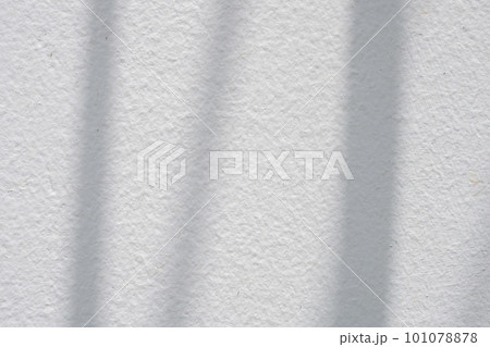 Leaves shadow on concrete wall background Leaves shadow on concrete wall background 101078878