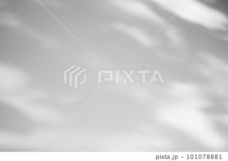Leaves shadow on concrete wall background Leaves shadow on concrete wall background 101078881