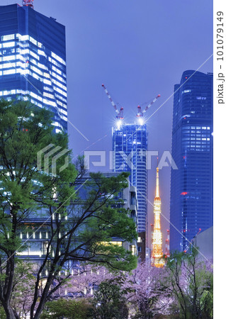 満開の桜が咲く夜の東京の街 101079149