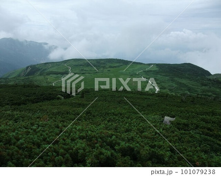 白山の登山道から見た風景 101079238