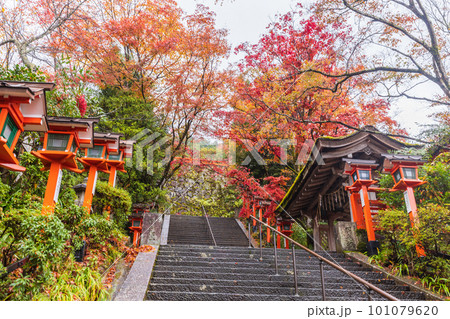 京都　秋の鞍馬寺・風景　 101079620