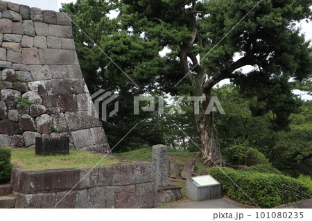小田原城 小田原城 101080235