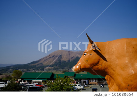 阿蘇をにらむ赤牛 101080654