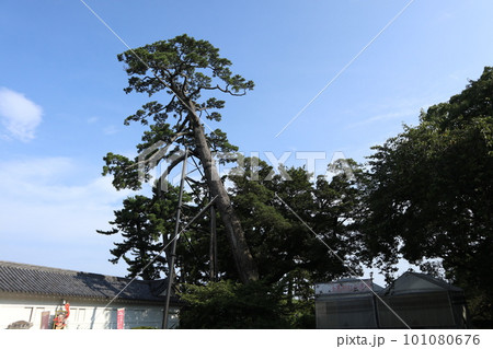 小田原城 101080676