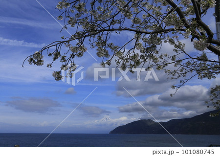 海から見た伊豆の山々 101080745