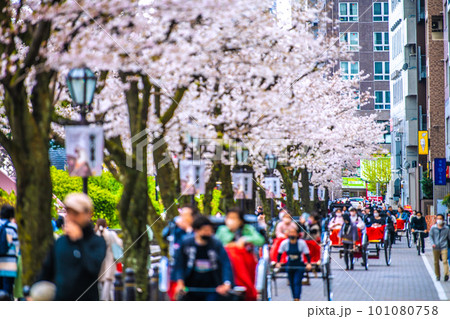日本の東京都市景観　人力車など観光客で賑わう隅田公園よこの助六通りなどを望む＝3月29日 101080758