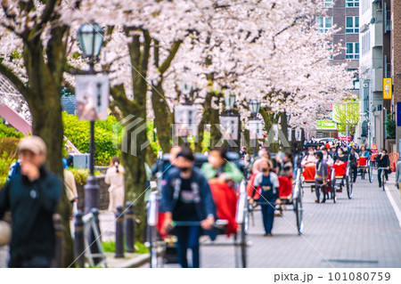 日本の東京都市景観 人力車など観光客で賑わう隅田公園よこの助六通りなどを望む=3月29日 日本の東京都市景観 人力車など観光客で賑わう隅田公園よこの助六通りなどを望む=3月29日 101080759