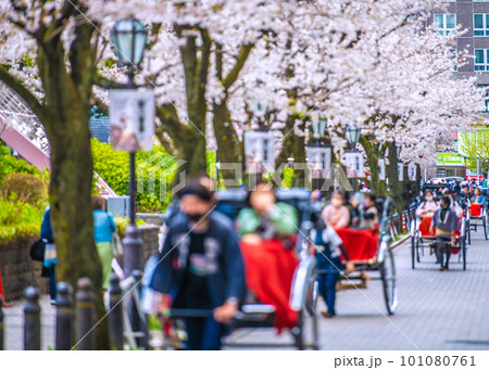日本の東京都市景観　人力車など観光客で賑わう隅田公園よこの助六通りなどを望む＝3月29日 101080761