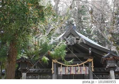 厳かな諏訪大社上社前宮本殿 101080955