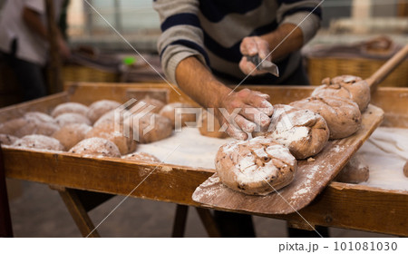 bread preparation. loaves of dough before baking bread preparation. loaves of dough before baking 101081030