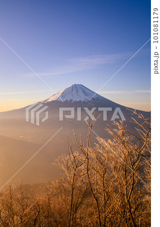 (山梨県)王岳より望む富士山・朝焼け (山梨県)王岳より望む富士山・朝焼け 101081179