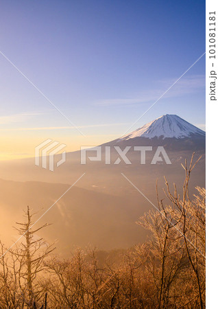 （山梨県）王岳より望む富士山・朝焼け 101081181